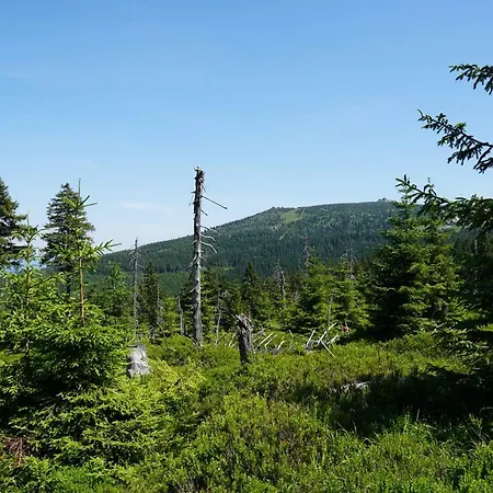 Rest & * 斯克拉斯卡波伦巴