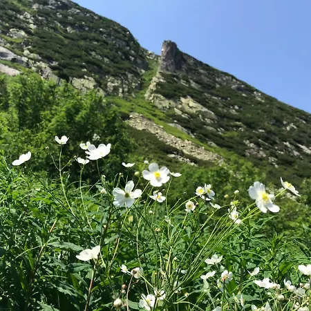 Rest & 公寓 斯克拉斯卡波伦巴