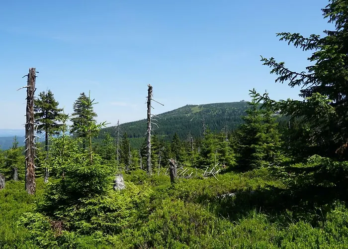 Rest & * Schreiberhau